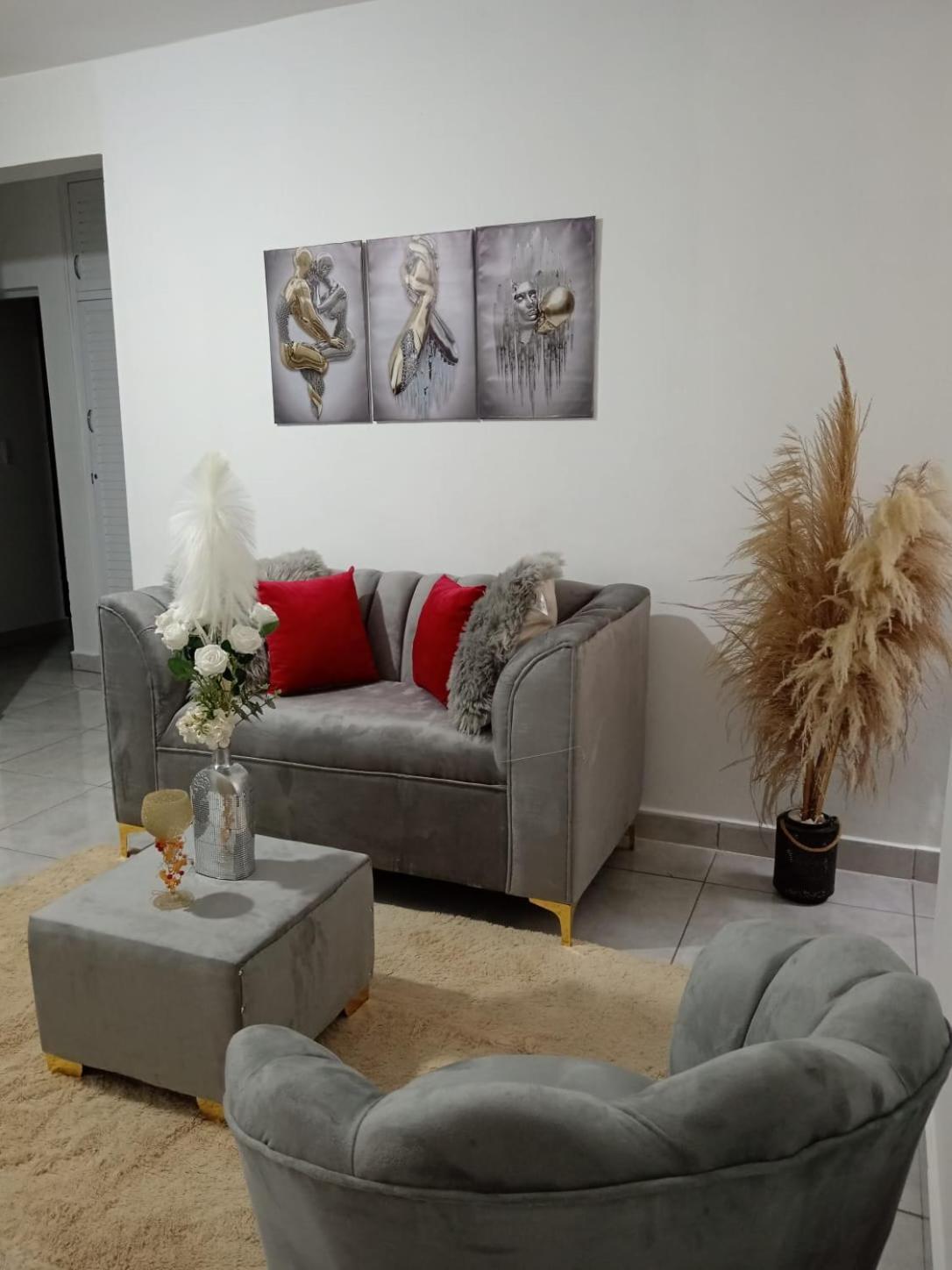 Apartamentos De 1 2 Y 3 Habitaciones Santiago De Los Caballeros Zewnętrze zdjęcie