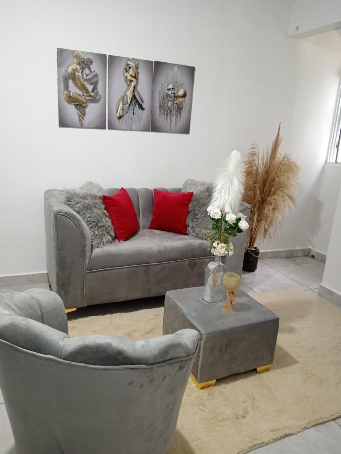 Apartamentos De 1 2 Y 3 Habitaciones Santiago De Los Caballeros Zewnętrze zdjęcie